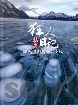 2015年世界杯比分-2015年世界杯比分，经典战役与意外转折
