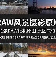 世界杯可以买总进球数吗-世界杯竞猜，总进球数的魅力与挑战