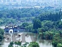 世界杯塞国-世界杯塞国，足球盛宴中的坚韧身影