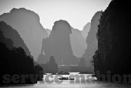 无限星空体育文化-无限星空下的体育之道